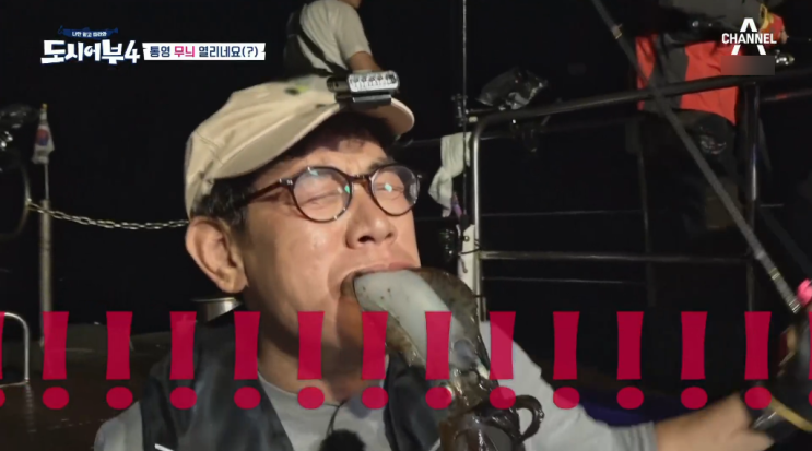  도시어부 시즌4 15회 통영 무늬오징어 낚시 결과 요약