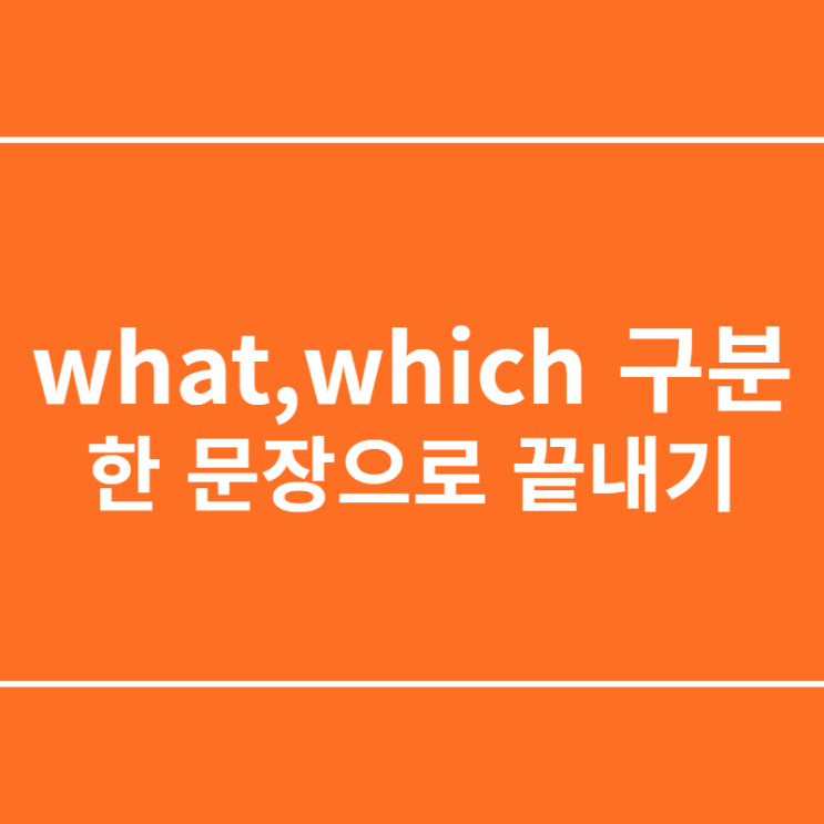  what,which 구분 한 문장으로 쉽게