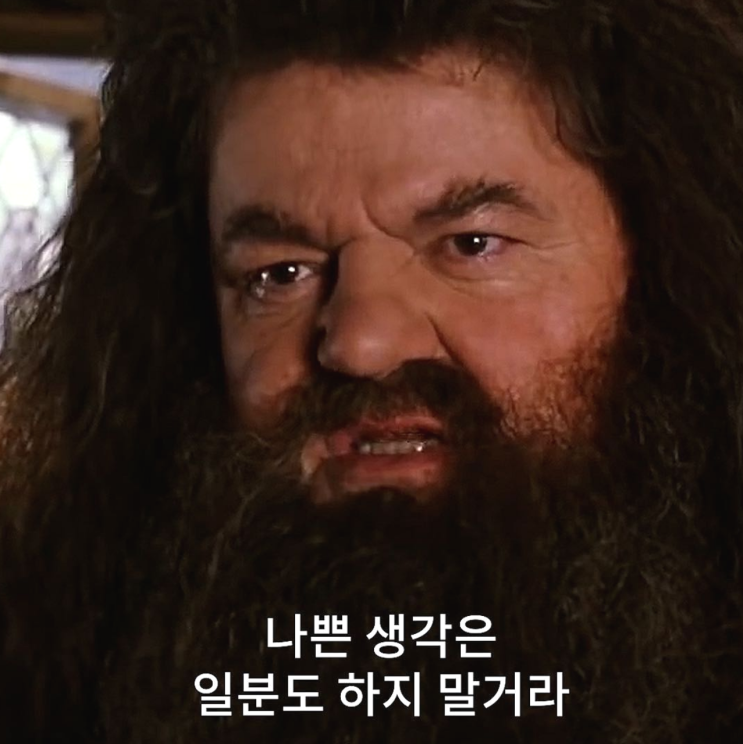  영화 속 명대사 해리포터 해그리드 역 배우 72세로 별세