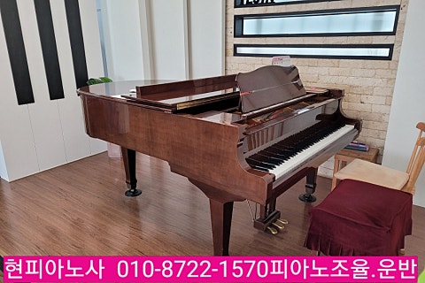예진음악학원 이미지