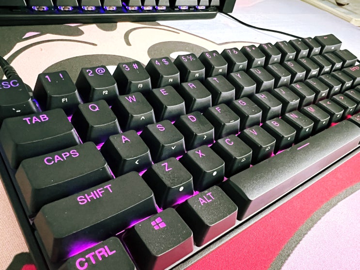 게이밍키보드추천 Apex 9 mini US 유선 게이밍키보드 하나면 된다