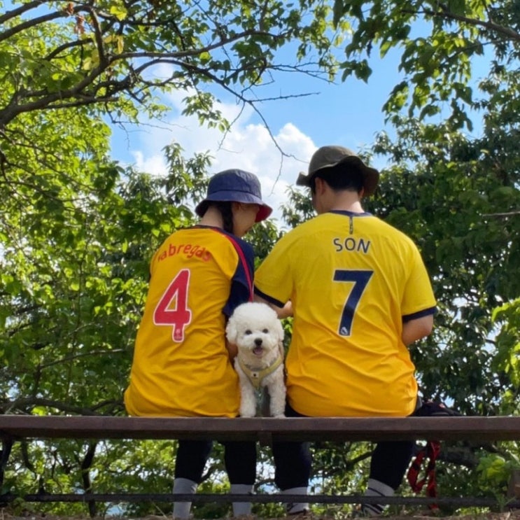  삼총사에게 외출이란? (feat. 펫티켓에 대한 고찰)