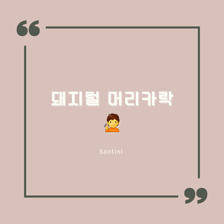 돼지털 머리카락 원인 및 다양한 관리 방법 돼지털 머리카락 원인 및 다양한 관리 방법