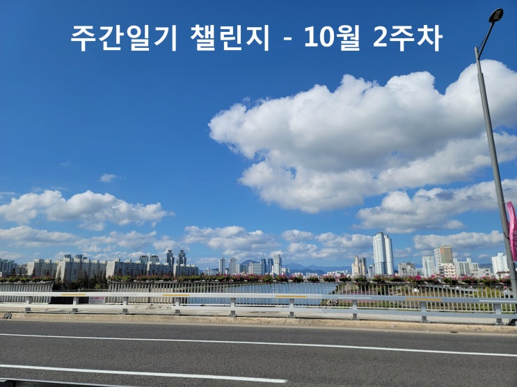  열심히 결혼식 다닌 한주!!