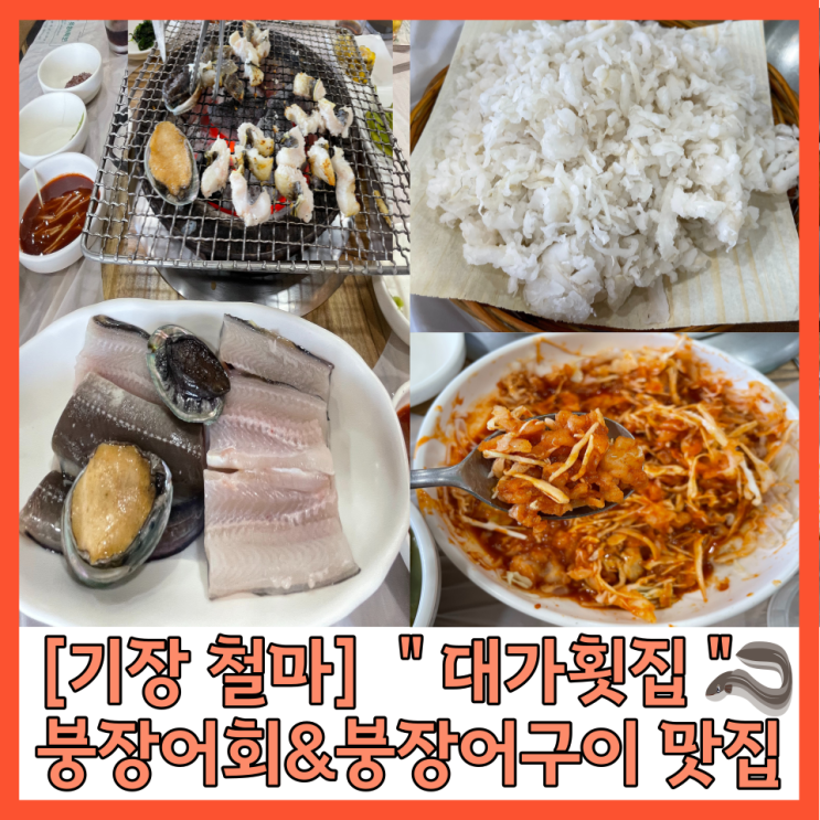  기장맛집 “대가횟집” 아나고회&붕장어 구이 칠암 붕장어마을
