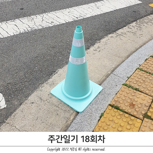 주간일기 18회차 : 알찬 주말 주간일기 18회차 : 알찬 주말