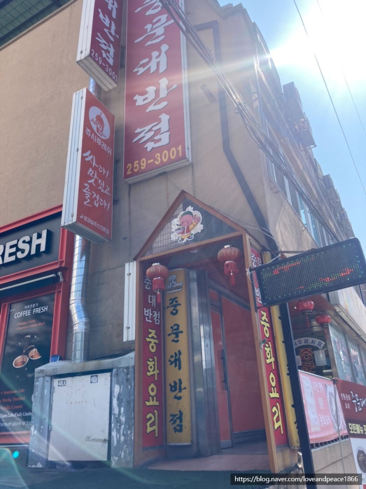 [청주대 맛집] 중문대반점 - 펭귄의 고독정식
