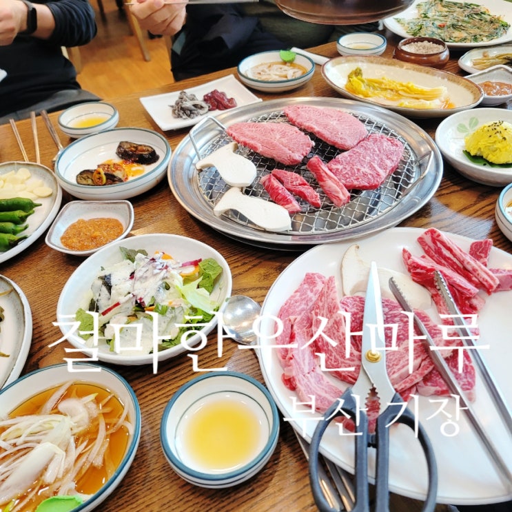  기장 철마한우산마루 20명이상 단체회식(족구장) 추천