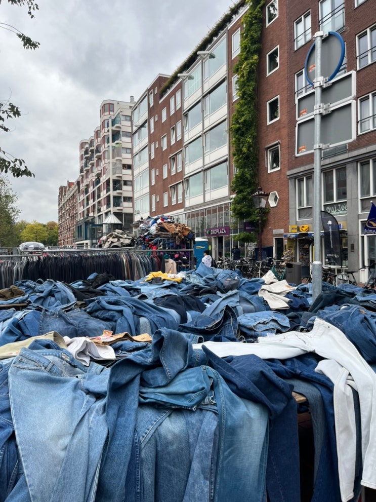  [2022 네덜란드] 앤트워프에서 암스테르담(플릭스버스), Waterlooplein markt, 베트남 쌀국수 Ô MAI