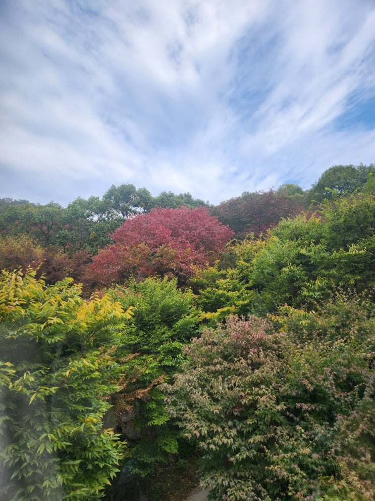  경기 광주 곤지암 화담숲 단풍놀이 다녀왔습니다