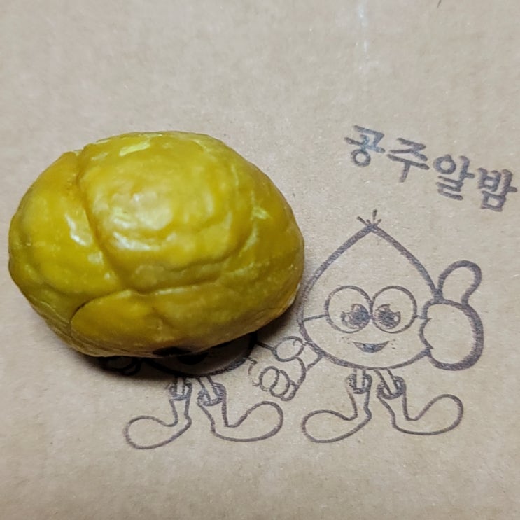  알밤 에어프라이어 알밤보관법 공주 한옥마을 알밤 후기
