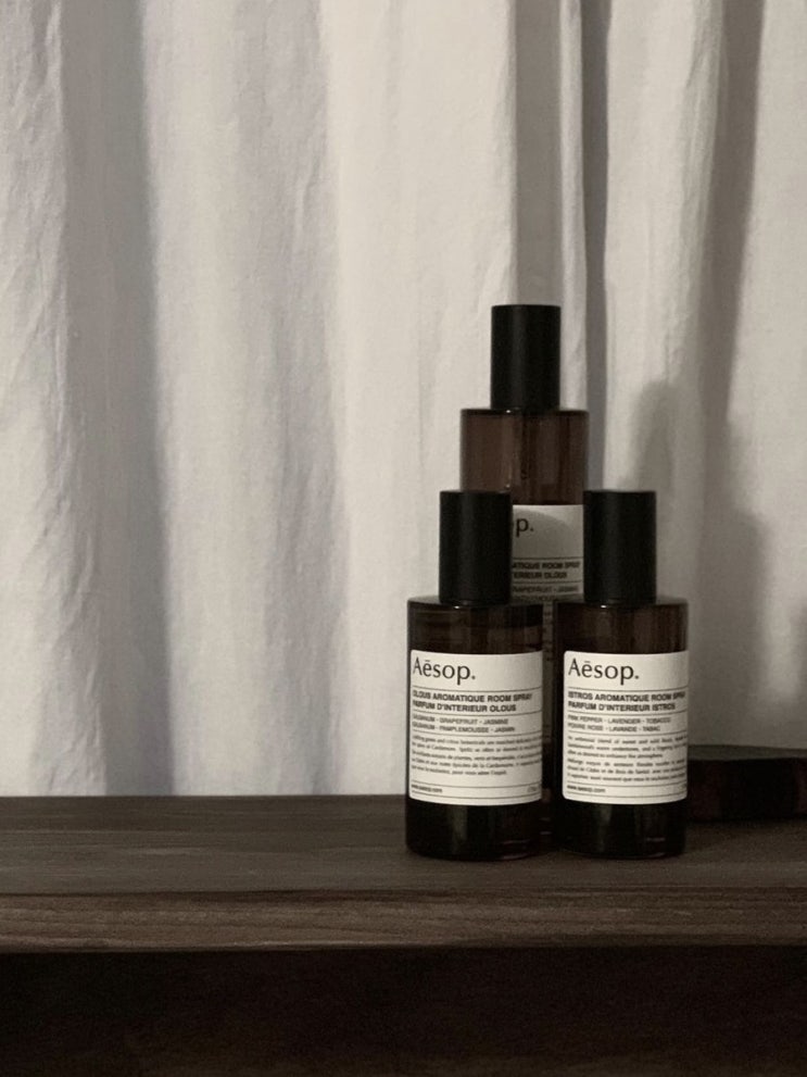  이솝(aesop)으로 조합된 인테리어 _10월 3주차