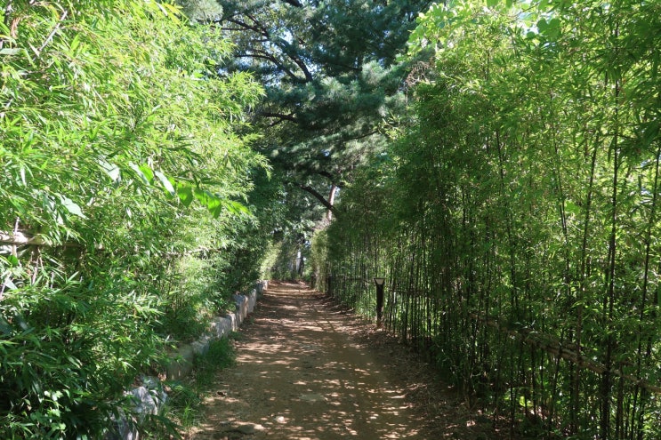  여름 여행 | 220829-220830 : 서울, 남양주