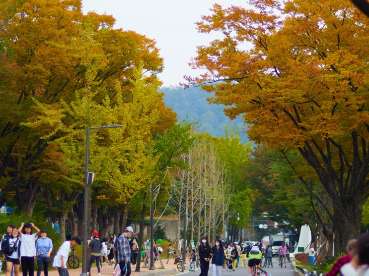 가을의 시작 10월 2주의 주간마무리