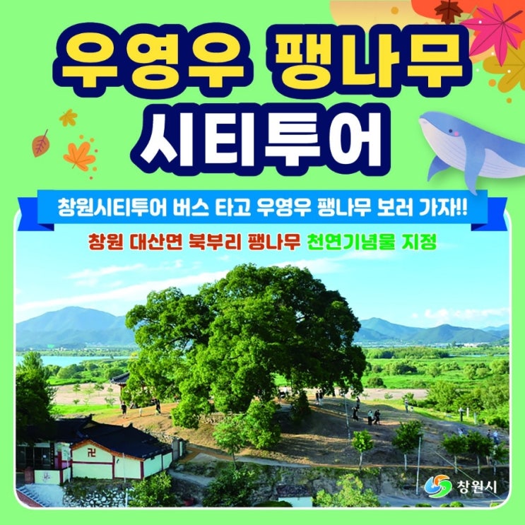  창원시 우영우 팽나무 시티투어 타고 보러가자!