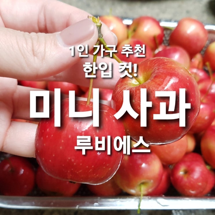  한입에 쏙~! 루비에스 미니 사과 효능과 먹는 방법