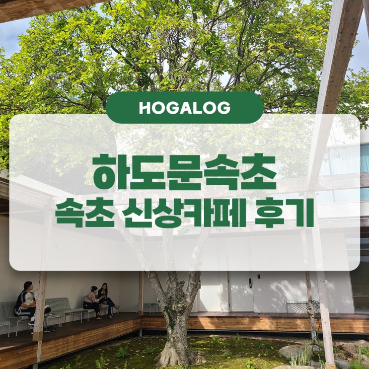  하도문속초, 속초 신상카페, 분위기 좋은 속초 감성카페 후기