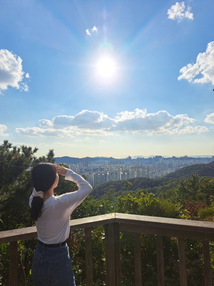  인천 만수산 무장애나눔길로 정상까지
