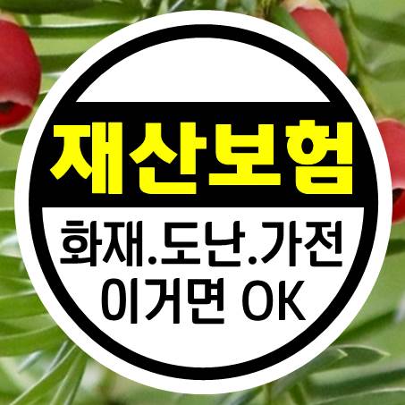  화재 도난 가전제품 수리 등 재산종합보험 하나면 오케이