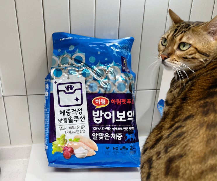 예비 뚱냥이를 위한 고양이다이어트사료 추천 밥이보약알맞은체중
