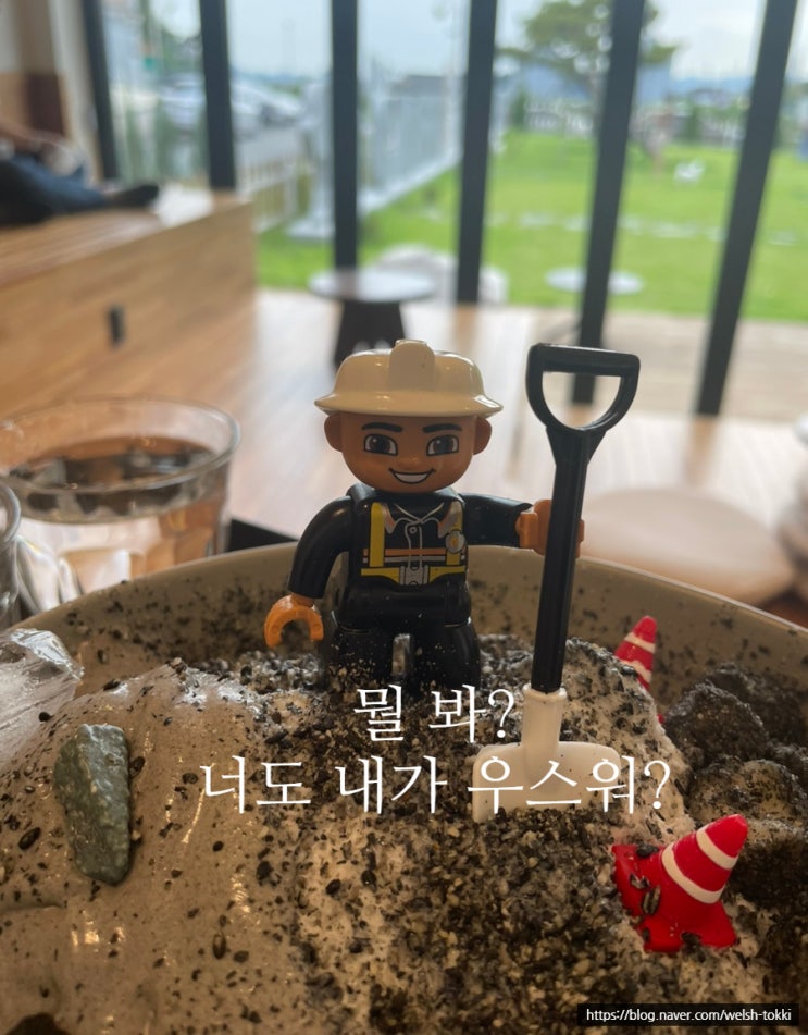  익산 테리어 #카페테리어 #익산카페 #애견동반카페
