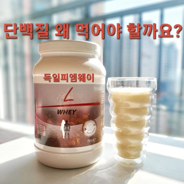  피트라인 단백질 웨이