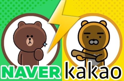  이번 화재로 보는 네이버 VS 카카오