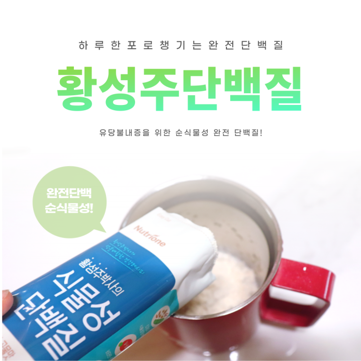  유당불내증 단백질 황성주 식물성단백질 두유랑 먹기