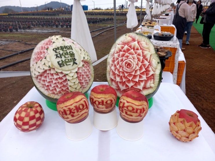  10월 전곡 선사유적지 연천 국화축제 연천농특산물전시 시식행사