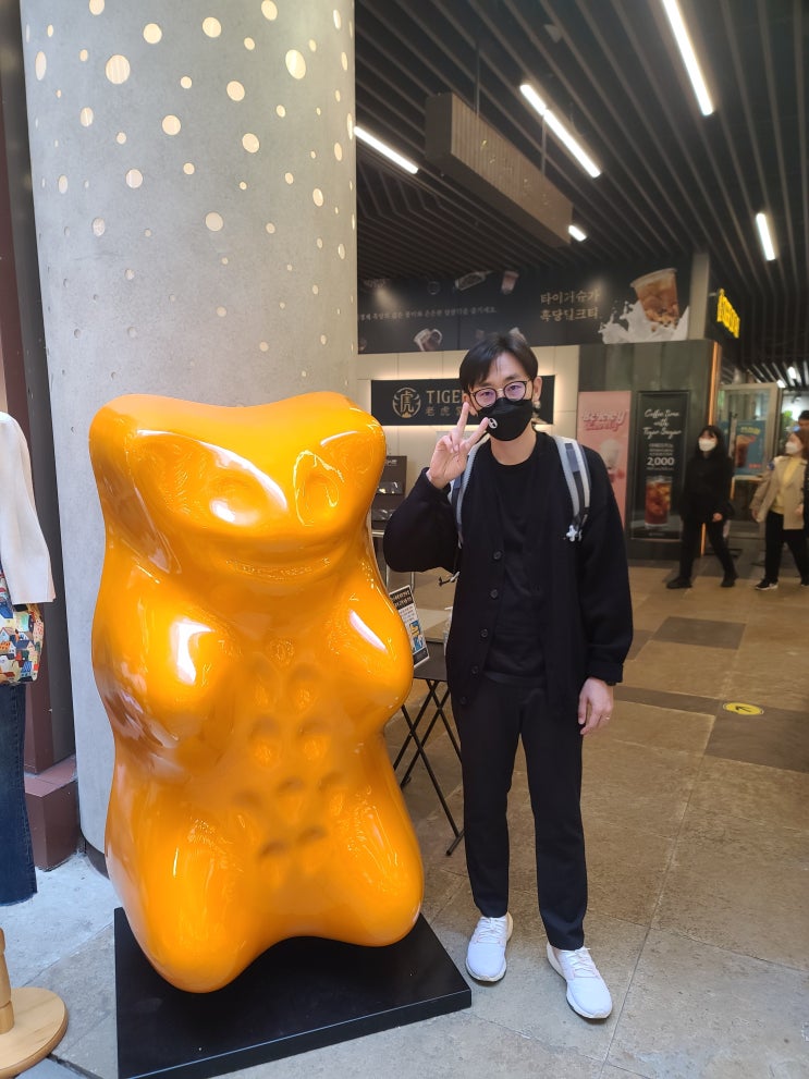 산책기록 10월 3주 산책기록 10월 3주