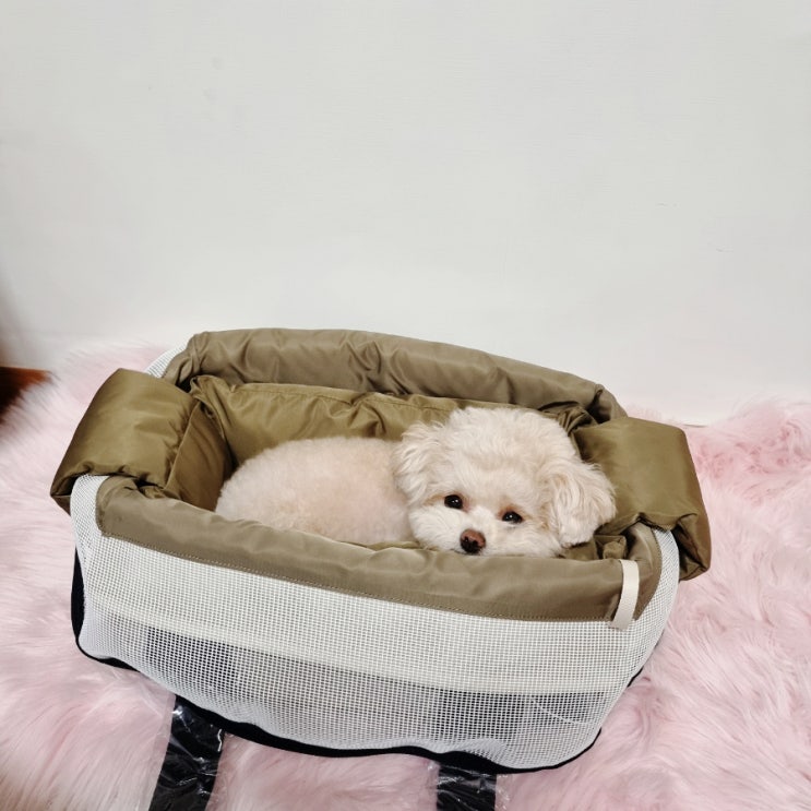 덕구's bag 내돈내산 덕구의 첫 번째 이동 가방 :: 강아지 이동 가방 '밀리옹 베이글백'