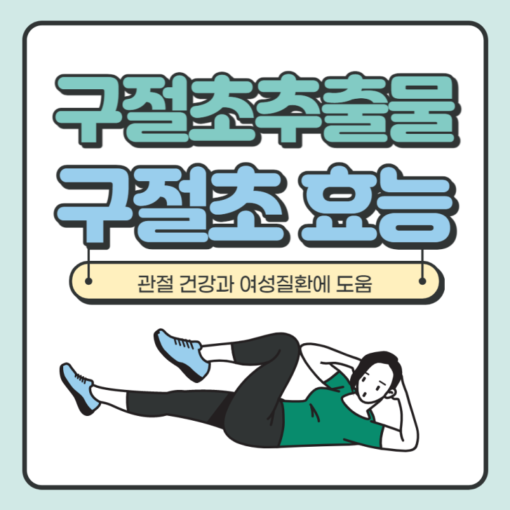 구절초추출물 구절초 효능 관절 건강과 여성 질환에 도움 주는 약초 구절초추출물 구절초 효능 관절 건강과 여성 질환에 도움 주는 약초