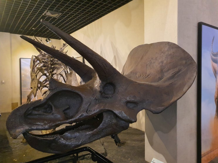 경남 고성 공룡박물관 상족암 캠핑후 방문