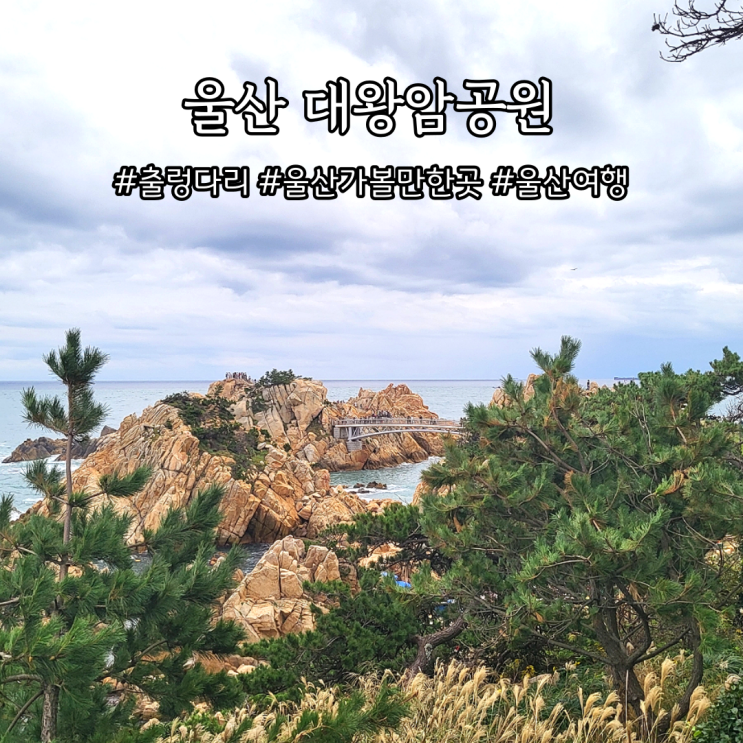 울산 대왕암공원 출렁다리 휴무, 입장료, 주차장