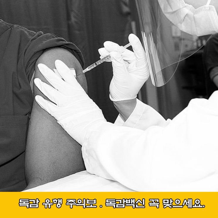  독감 백신과 코로나 백신