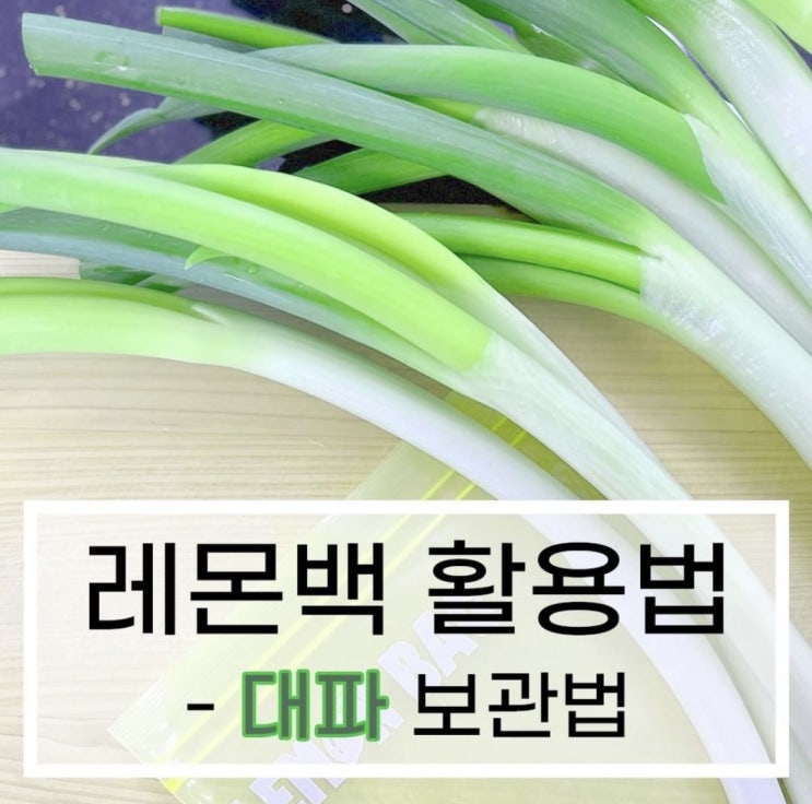  채소를 보관하는 백이 있다고 ?!