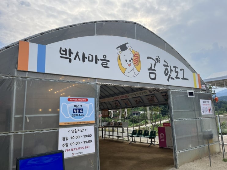  [춘천] 곰취가 들어간 이색적인 '박사마을 곰 핫도그'