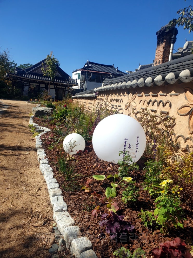  전주 한옥마을 명소 사진 예쁘게 나오는  정원