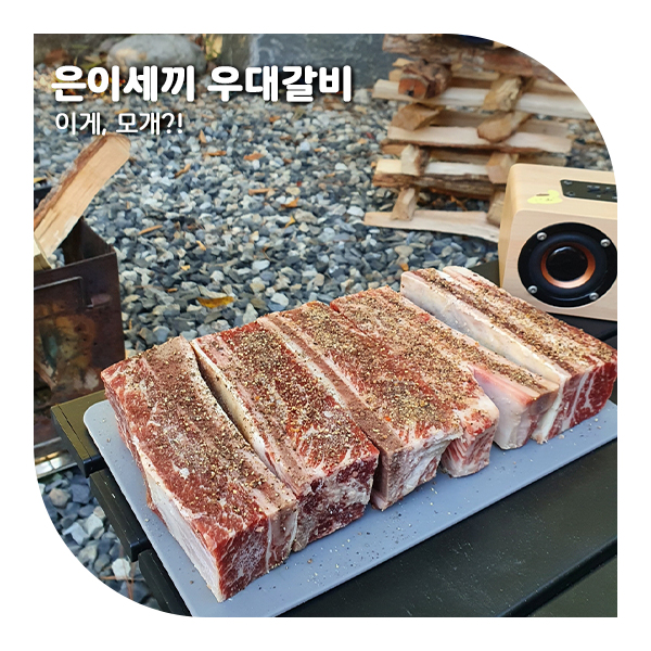  주간일기 I 캠핑의 민족 (+ 은이세끼 우대갈비)