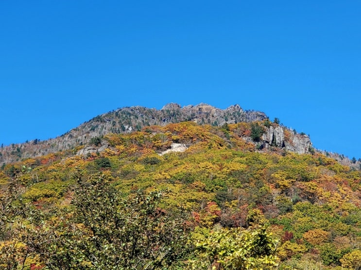  지리산 천왕봉 등산(중산리 최단코스)
