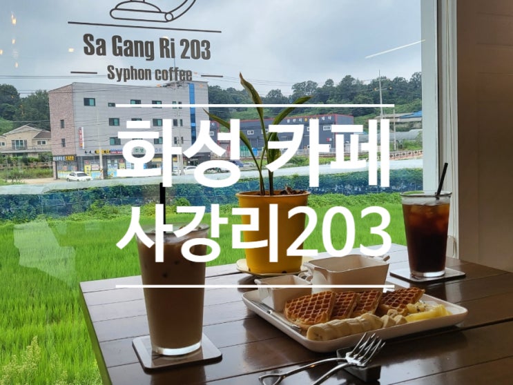  카페 사강리203!! 화성 가볼 만한 곳 사강시장 근처 조명 맛집!!(feat. 사이폰 커피)