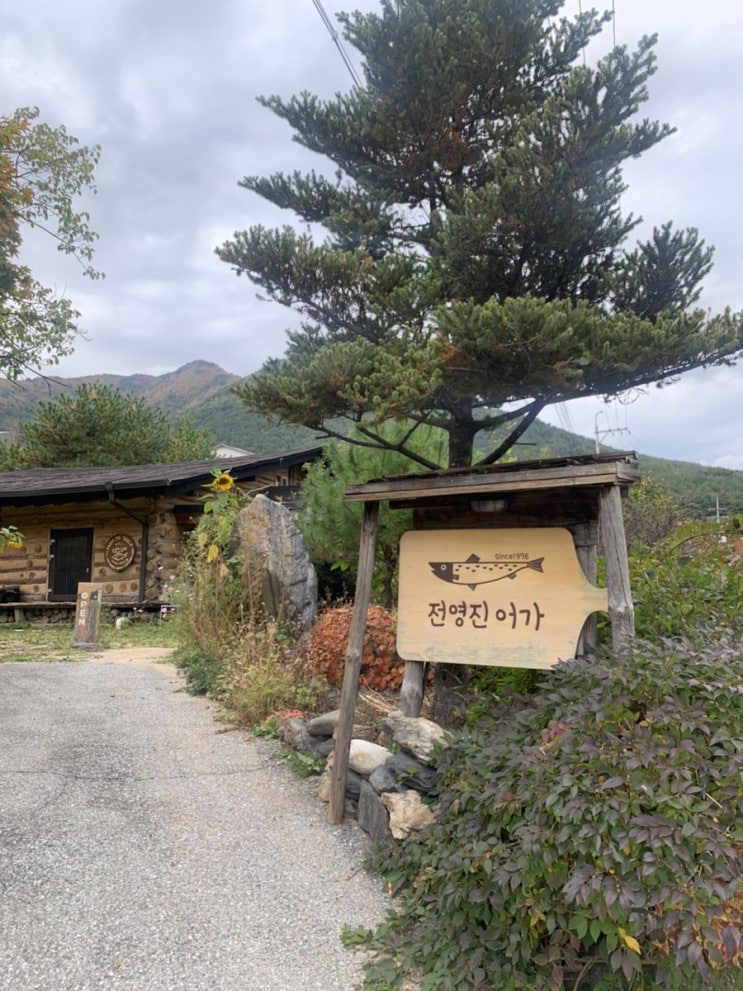 22.10 ㅣ 가을 정선여행 1일차🚗ㅣ 안동휴게소,전영진어가,파크로쉬