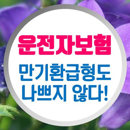  만기 선택에 따라 환급형운전자보험 비교해도 나쁘지 않은 것 같다.