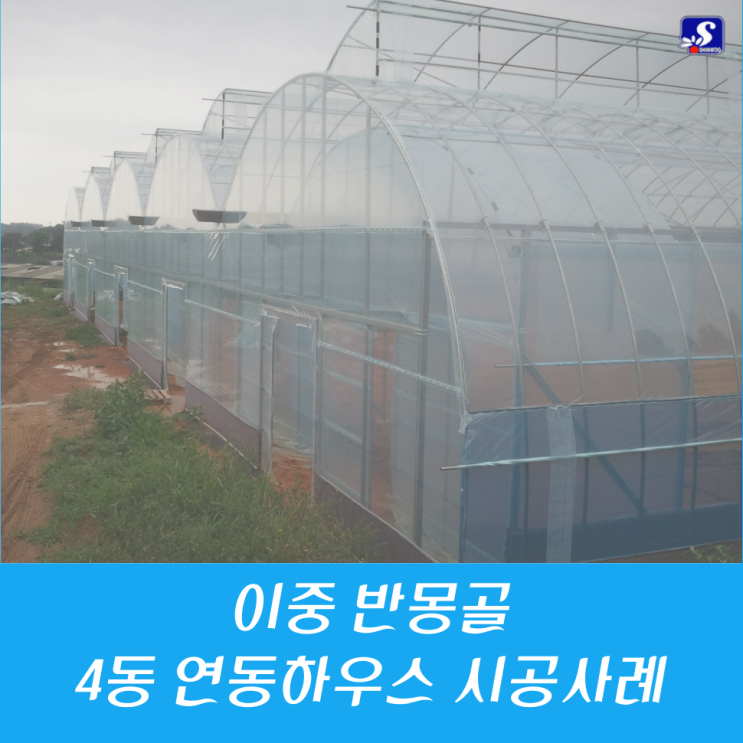  [신우시공] 원형 연동 비닐하우스 시공 / 자동화 비닐하우스 시공 / 화성시 비닐하우스 / 화성시 농자재 도소매 / 신우이십일