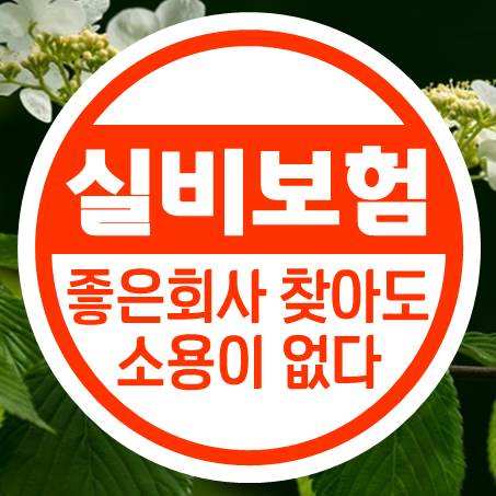  괜찮은 인터넷실비보험 찾아내도 소용이 없는 이유