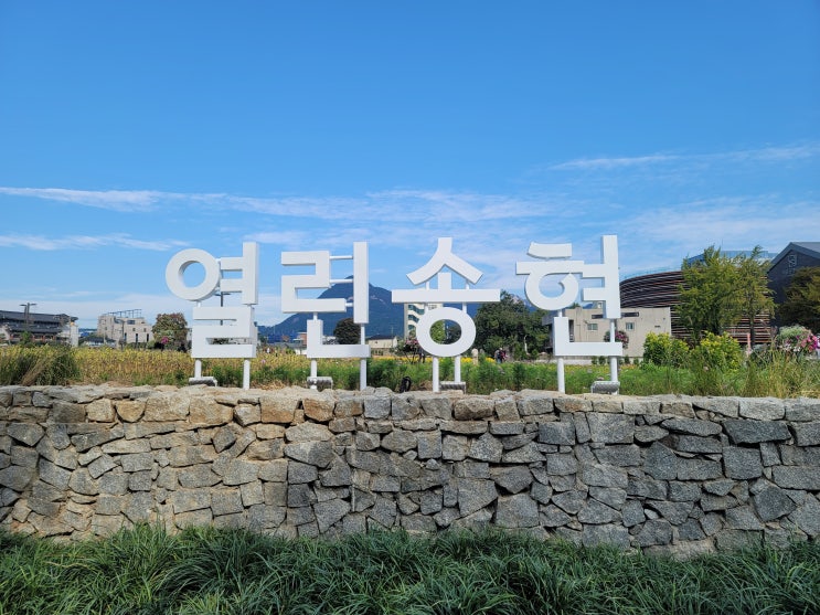  '금단의 땅' 송현동 부지 110년 만에 시민 품으로