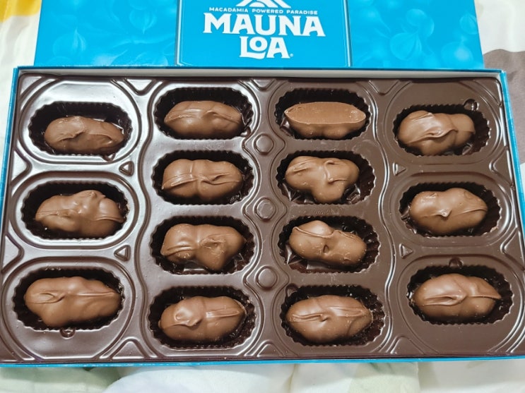 하와이 초콜릿 : MAUNA LOA 마카다미아 초콜릿 맛있네요