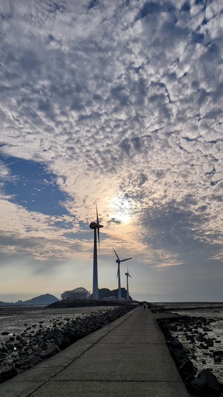  주간일기 챌린지 20번째 [대부도 당일여행, 안산 김홍도 축제]