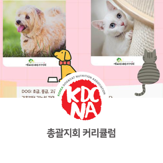  한국반려동물영양협회 총괄지회 최수연펫푸드아카데미 커리큘럼 [애견수제간식/강아지자연식/펫푸드학원/펫푸드자격증/펫베이커리/수원/평택/용인_1017]