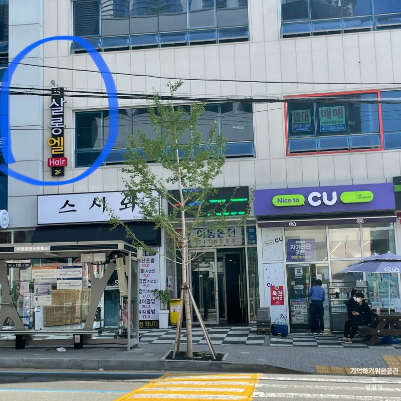포항 이동 미용실 살롱엘헤어 클리닉 후기